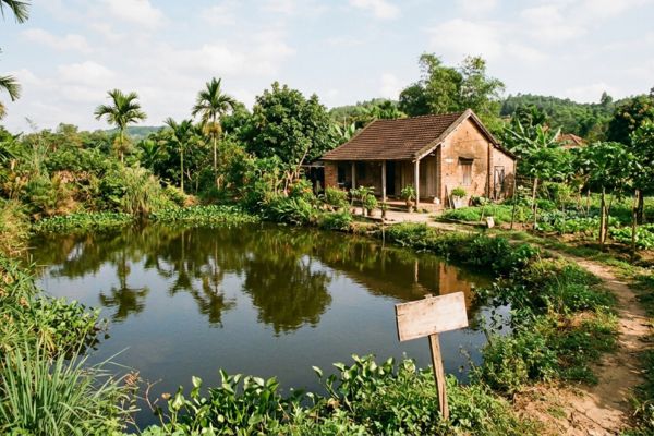Bán đất ao: Pháp lý, quy định và các vấn đề liên quan