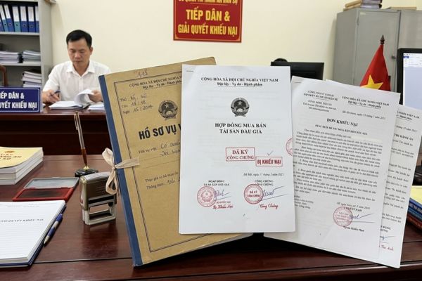Hợp đồng mua bán tài sản đấu giá thi hành án dân sự bị khiếu nại